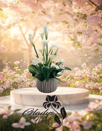 Bunga Meja Fresh  Jakarta utara