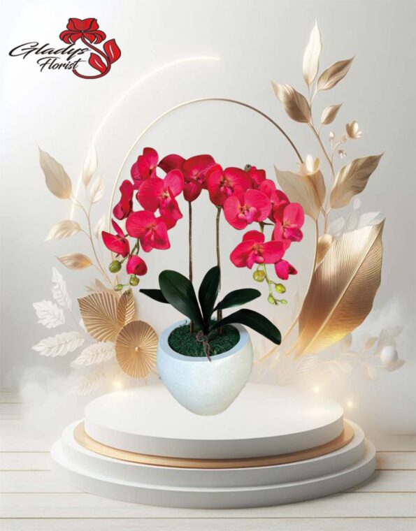 Bunga Anggrek sebagai Simbol Keindahan